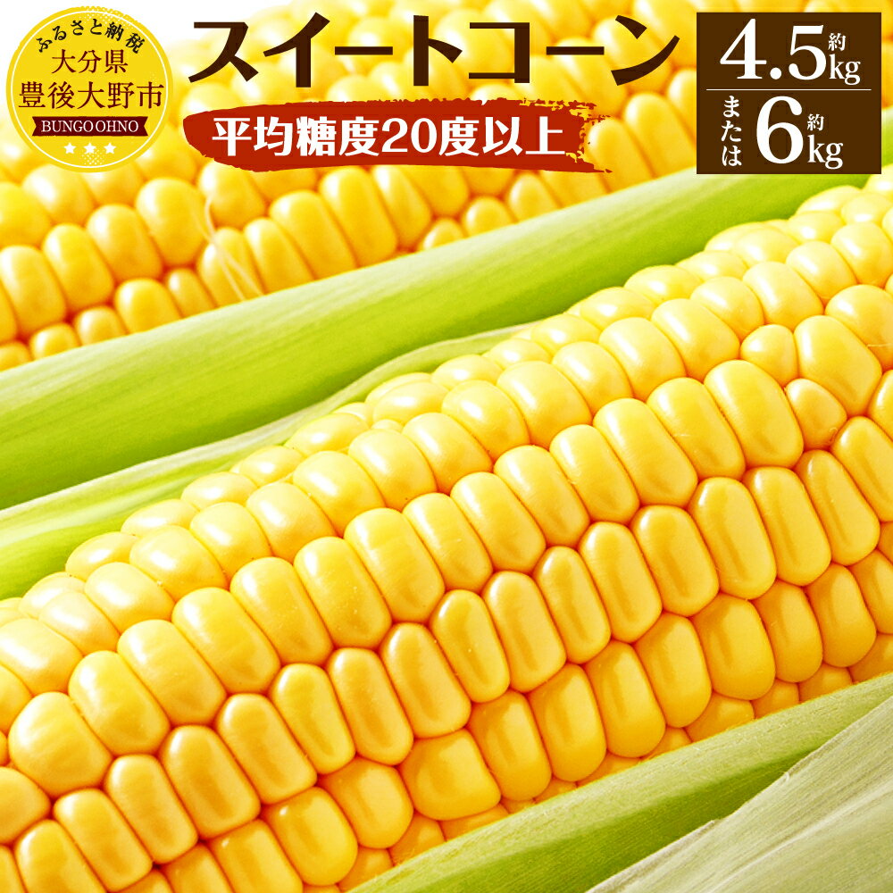 【先行予約】 平均糖度20度以上 スイートコーン ＜容量が選べる＞ 約4.5kg 10本～11本 約6kg 13本～16本 とうもろこし とうきび 野菜 朝採れ もぎたて 当日出荷 産地直送 芦刈農産 新鮮 旬 夏 お中元 冷蔵 送料無料【2024年6月下旬~7月下旬発送予定】