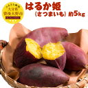 【ふるさと納税】はるか姫 さつまいも 約5kg （5kg×1箱） 甘藷 唐芋 野菜 根菜 焼きいも 豊後大野市産 九州産 送料無料