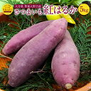 【ふるさと納税】大分県 豊後大野市産 さつまいも 紅はるか ...