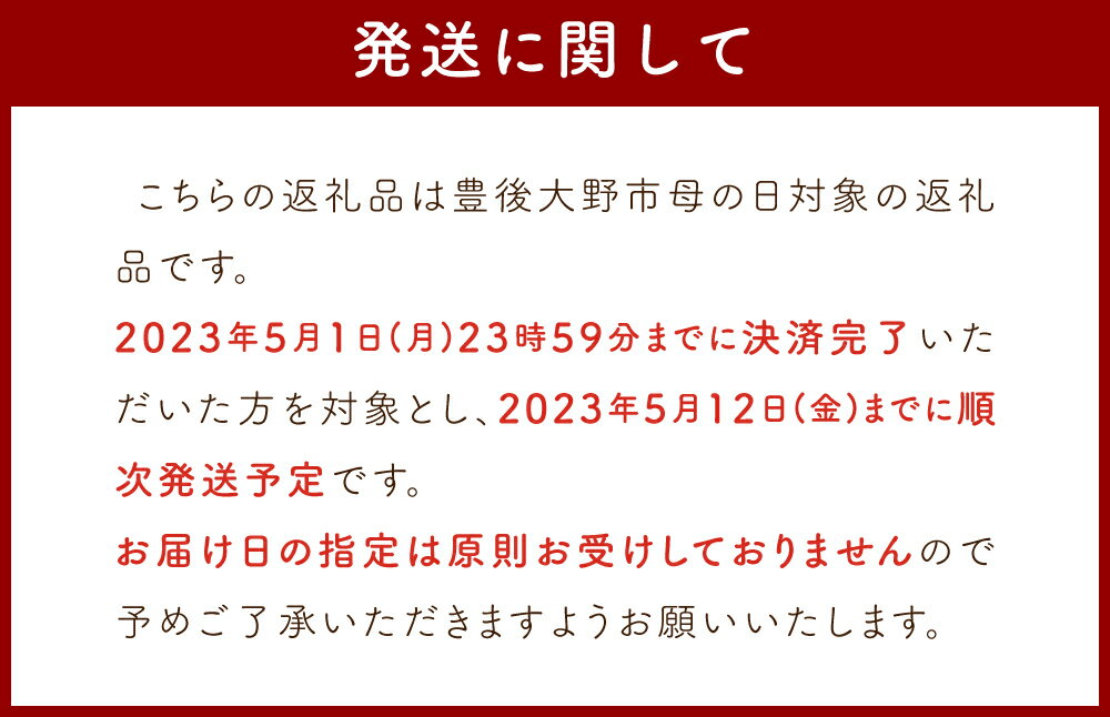 【ふるさと納税】2重 ガーゼ チュニック 綿100% 国産 日本製 コットン ワンピース レディース 長袖 送料無料