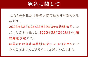 【ふるさと納税】2重 ガーゼ チュニック 綿100% 国産 日本製 コットン ワンピース レディース 長袖 送料無料