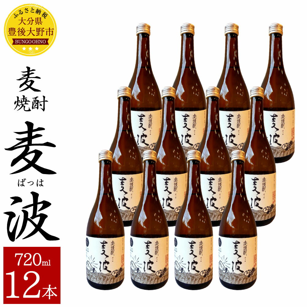 麦焼酎 麦波 ばっは 720ml 12本 セット 25度 麦 麦麹 減圧蒸留 焼酎 お酒 国産 大分県産 九州 送料無料