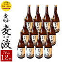 11位! 口コミ数「0件」評価「0」麦焼酎 麦波 ばっは 720ml 12本 セット 25度 麦 麦麹 減圧蒸留 焼酎 お酒 国産 大分県産 九州 送料無料