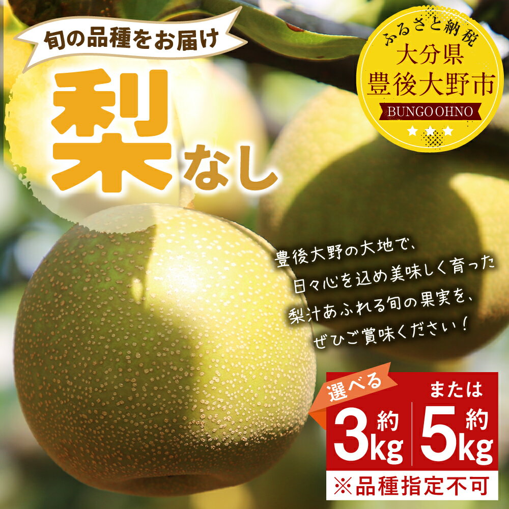 【ふるさと納税】【先行予約】 大分県 豊後大野市産 梨 ＜容量が選べる＞ 約3kg または 約5kg なし 幸水 豊水 新高 新興 フルーツ 果物 くだもの 果実 大分県産 予約 送料無料 ※品種は選べません【2024年8月上旬～2024年12月上旬発送予定】