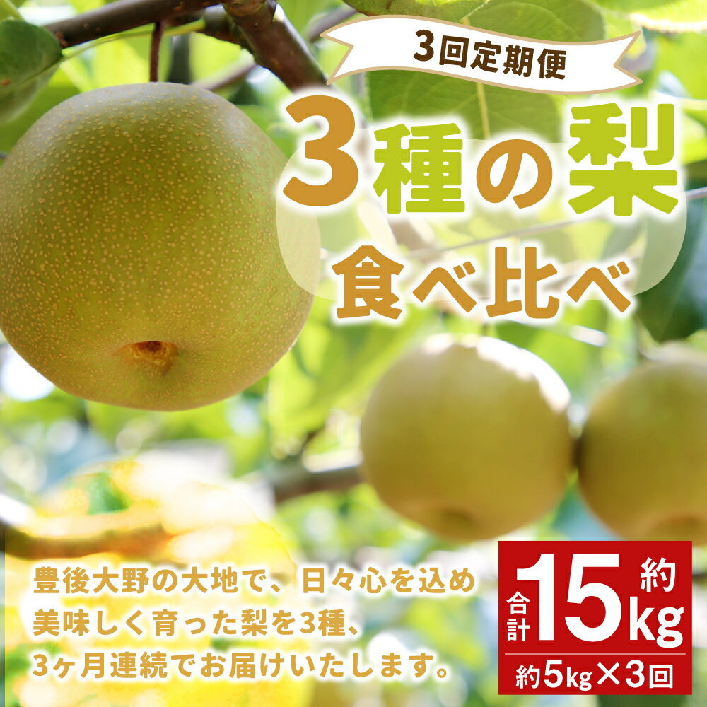 【ふるさと納税】【先行予約】【3回定期便】 3種の梨 食べ比べ 定期便 合計約15kg 豊水 新高 新興 あたご 梨 なし 果物 くだもの フルーツ 国産 九州 大分県 送料無料【2024年9月上旬発送予定】