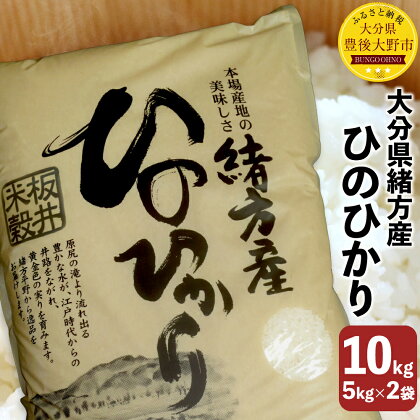 大分県緒方産 ひのひかり 10kg 5kg×2袋 令和5年産 ひのひかり 白米 お米 米 コメ 精米 国産 九州 大分県 送料無料