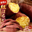 【ふるさと納税】【ご自宅用】【訳あり】紅はるか 5kg B品 大分県産 傷・汚れあり さつまいも 甘藷 サツマイモ お芋 芋 焼き芋 産地直送 土付き べにはるか 国産 九州 いもや吉 送料無料 その1