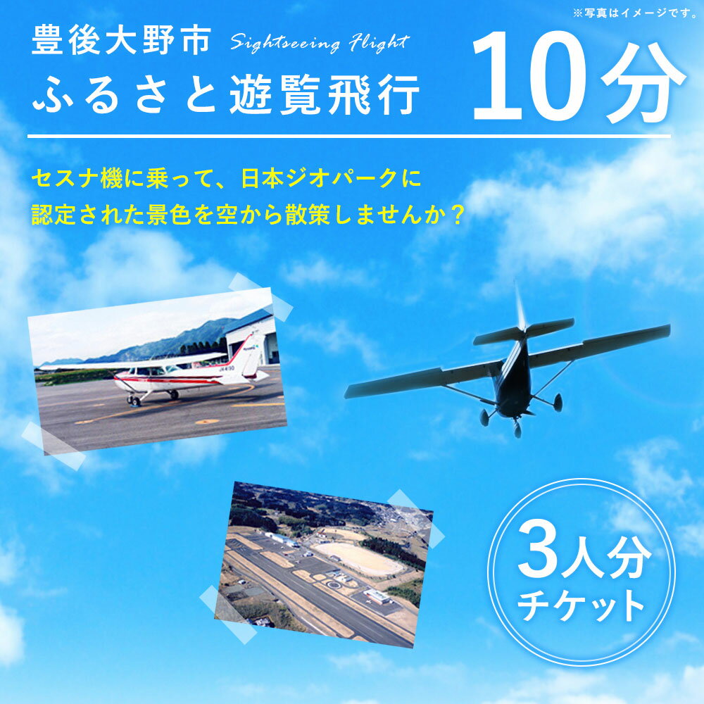 【ふるさと納税】豊後大野市ふるさと遊覧飛行 10分 3人まで搭乗可能 セスナ 飛行機 貸し切り 観光