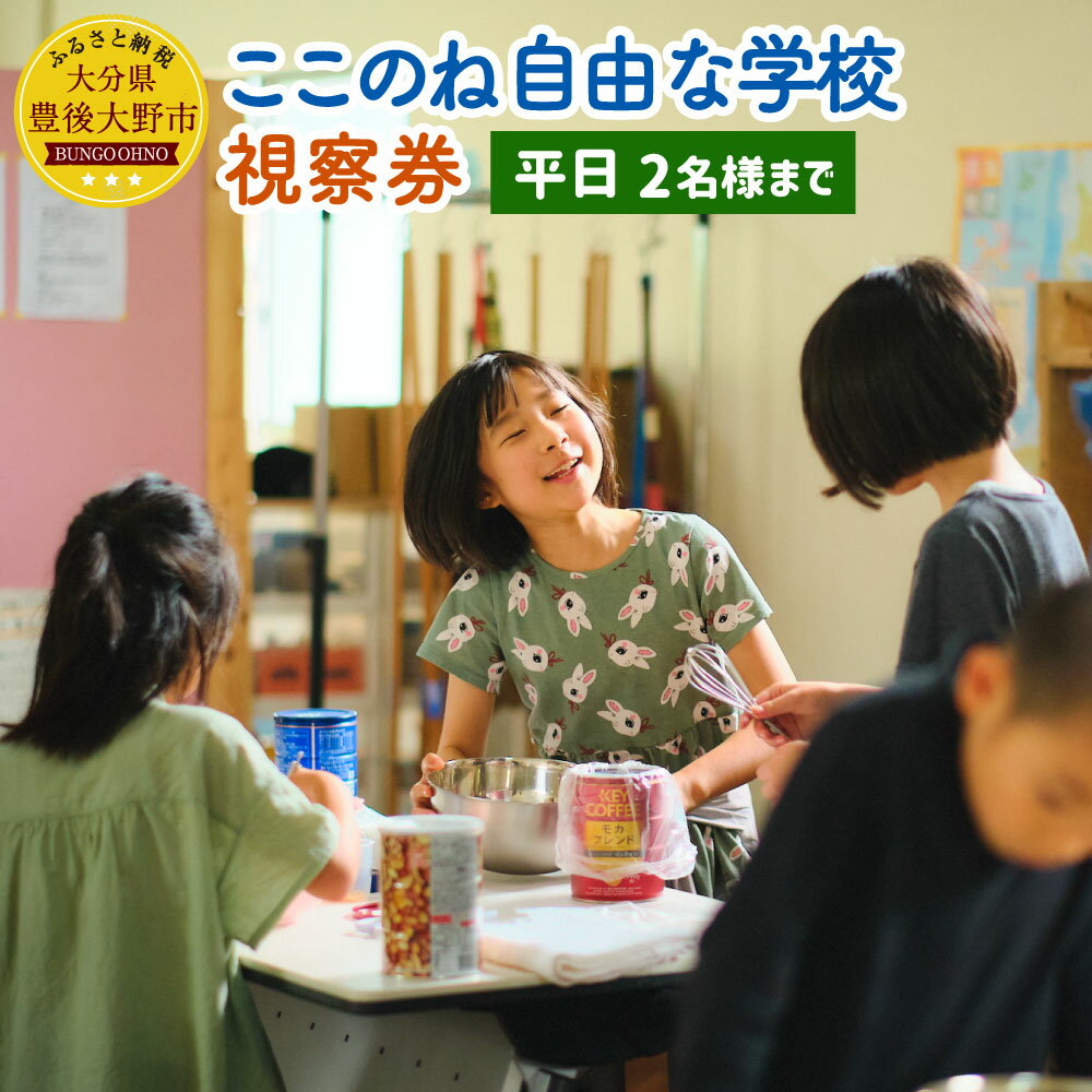 ここのね自由な学校 視察券 平日 2名様まで 大分県 豊後大野市 体験 ご案内 ツアー 送料無料