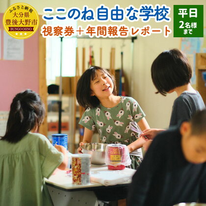 ここのね自由な学校 視察券＋年間報告レポート 平日 2名様まで 大分県 豊後大野市 体験 ご案内 ツアー 送料無料