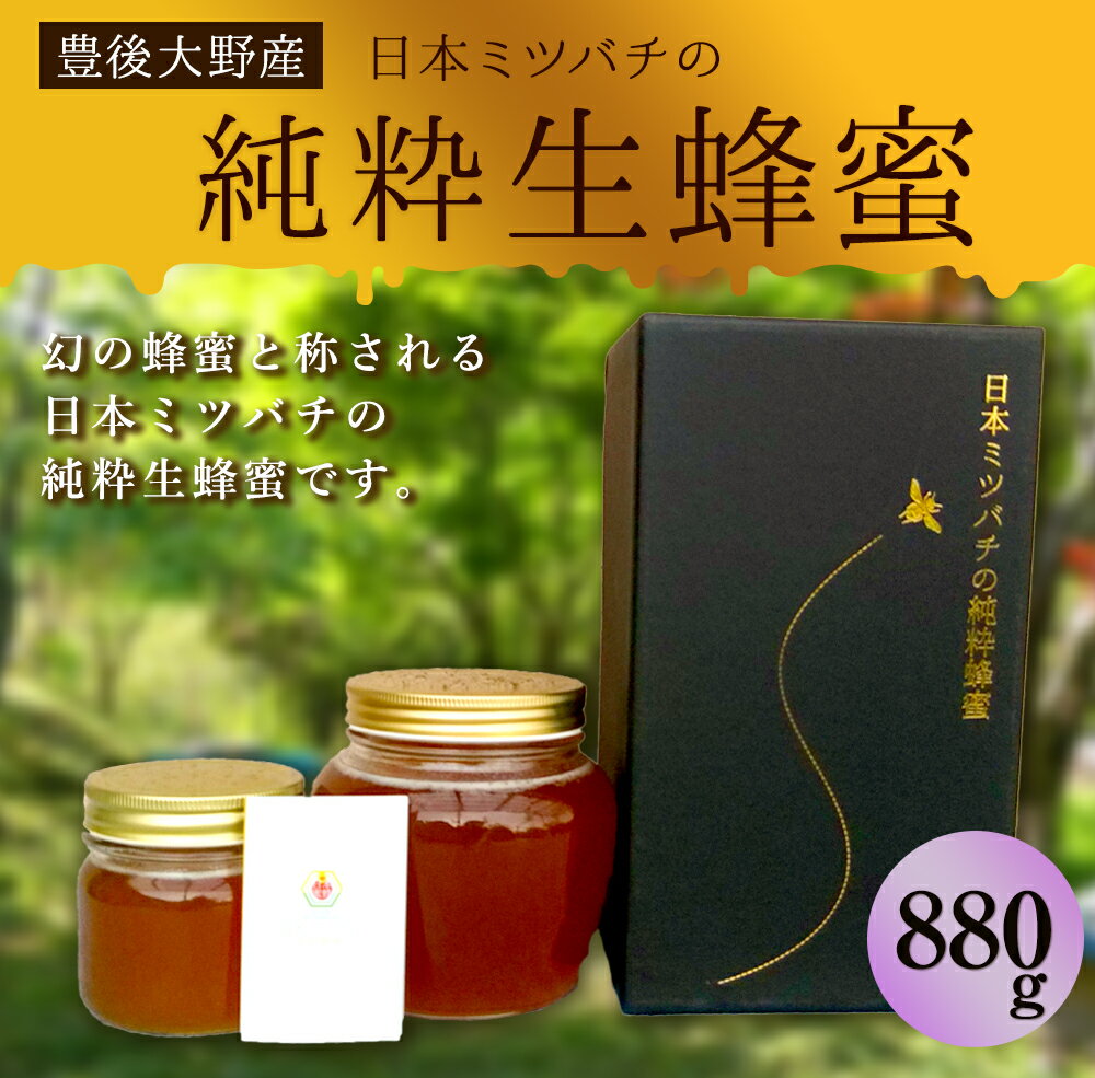 【ふるさと納税】日本ミツバチの純粋生蜂蜜 880g（220g×1、660g×1） ハチミツ 国産 生はちみつ 生蜂蜜 和蜂 大分県産 豊後大野産 ギフト 贈り物 送料無料