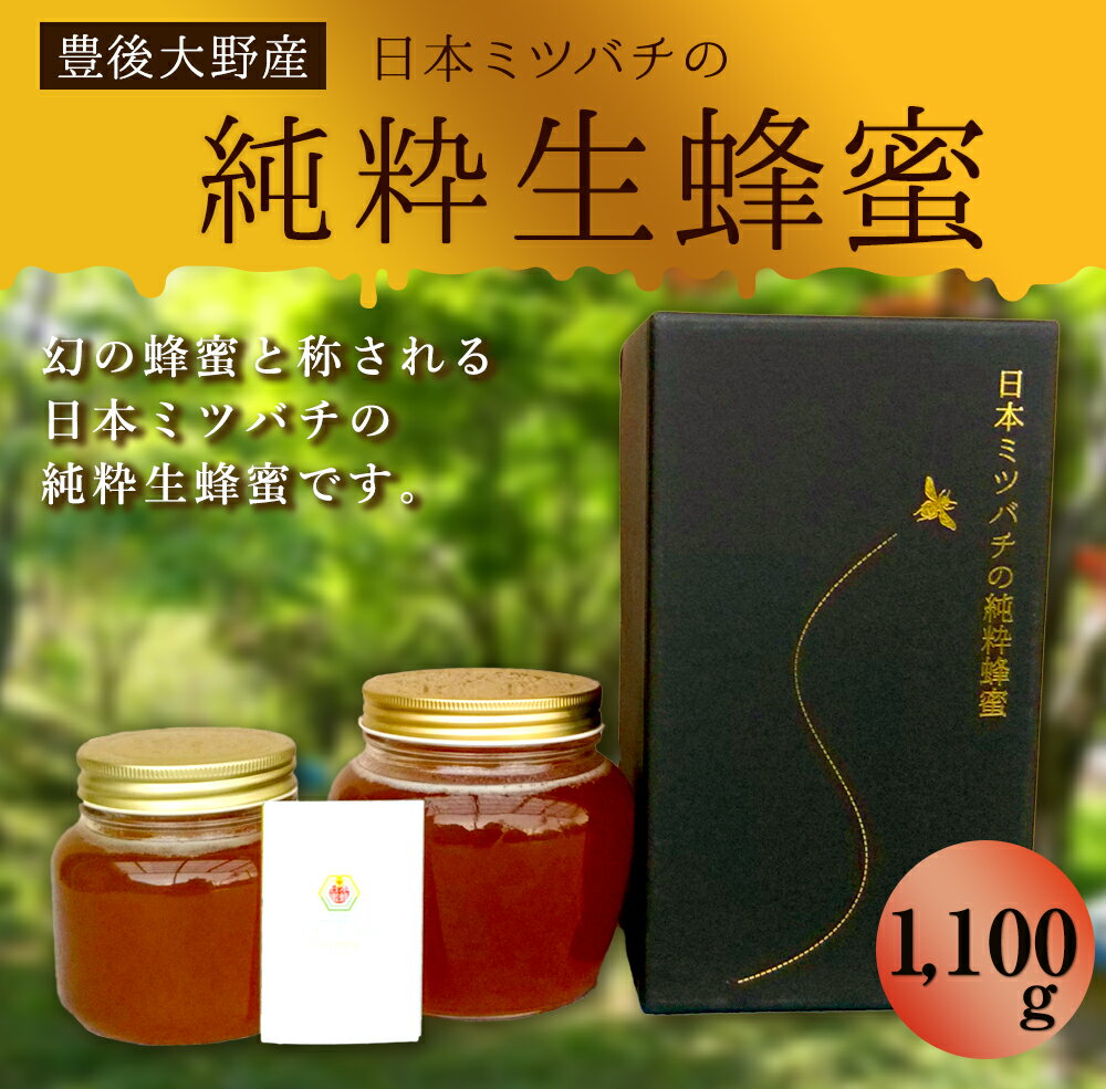 【ふるさと納税】日本ミツバチの純粋生蜂蜜 1,100g (440g×1、660g×1) ハチミツ 国産 生はちみつ 生蜂蜜 和蜂 大分県産 豊後大野産 ギフト 贈り物 送料無料