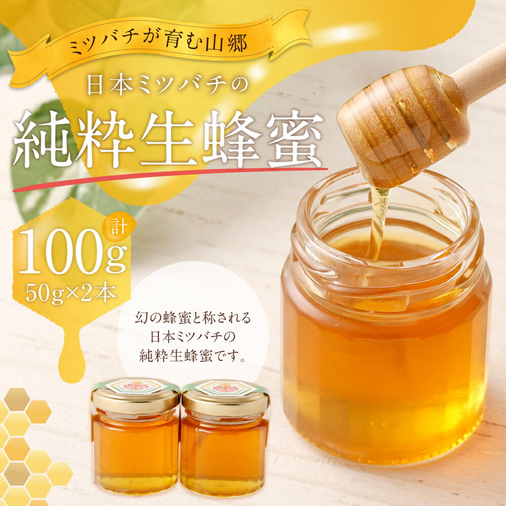 【ふるさと納税】日本ミツバチの純粋生蜂蜜 100g 50g×2本 セット はちみつ ハチミツ ハニー 蜂蜜 生はちみつ ギフト 贈り物 贈答 国産 九州 大分県 豊後大野市 送料無料