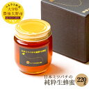 25位! 口コミ数「0件」評価「0」日本ミツバチの純粋生蜂蜜 220g ハチミツ 国産 生はちみつ 生蜂蜜 和蜂 大分県産 豊後大野産 ギフト 贈り物 送料無料