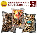【ふるさと納税】山盛りどんこ400g 山盛り大葉しいたけ400g 山盛り不揃いしいたけ500g 各1個 合計1.3kg 3種 椎茸 しいたけ どんこ 乾燥シイタ...