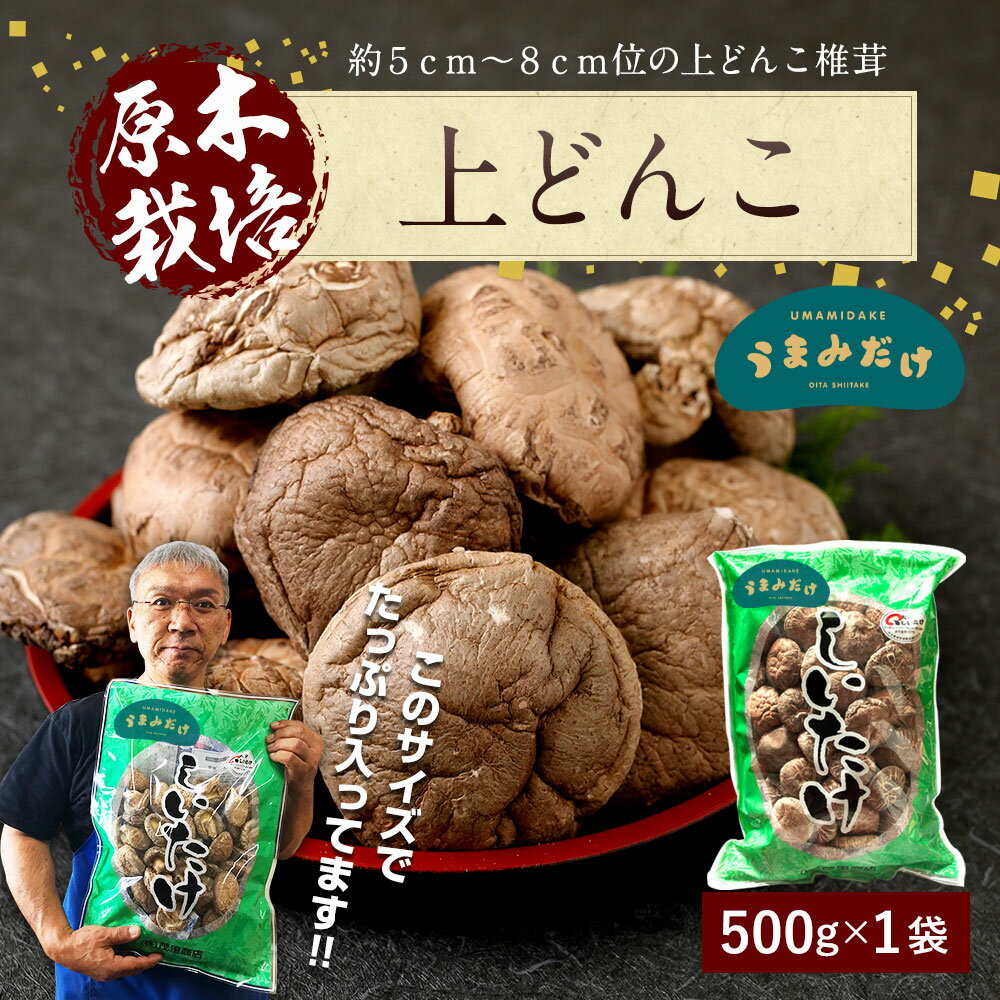 【ふるさと納税】上どんこ 500g 大分県豊後大野市産 うまみだけ どんこ 椎茸 しいたけ 干ししいたけ 九州 原木栽培 常温 送料無料