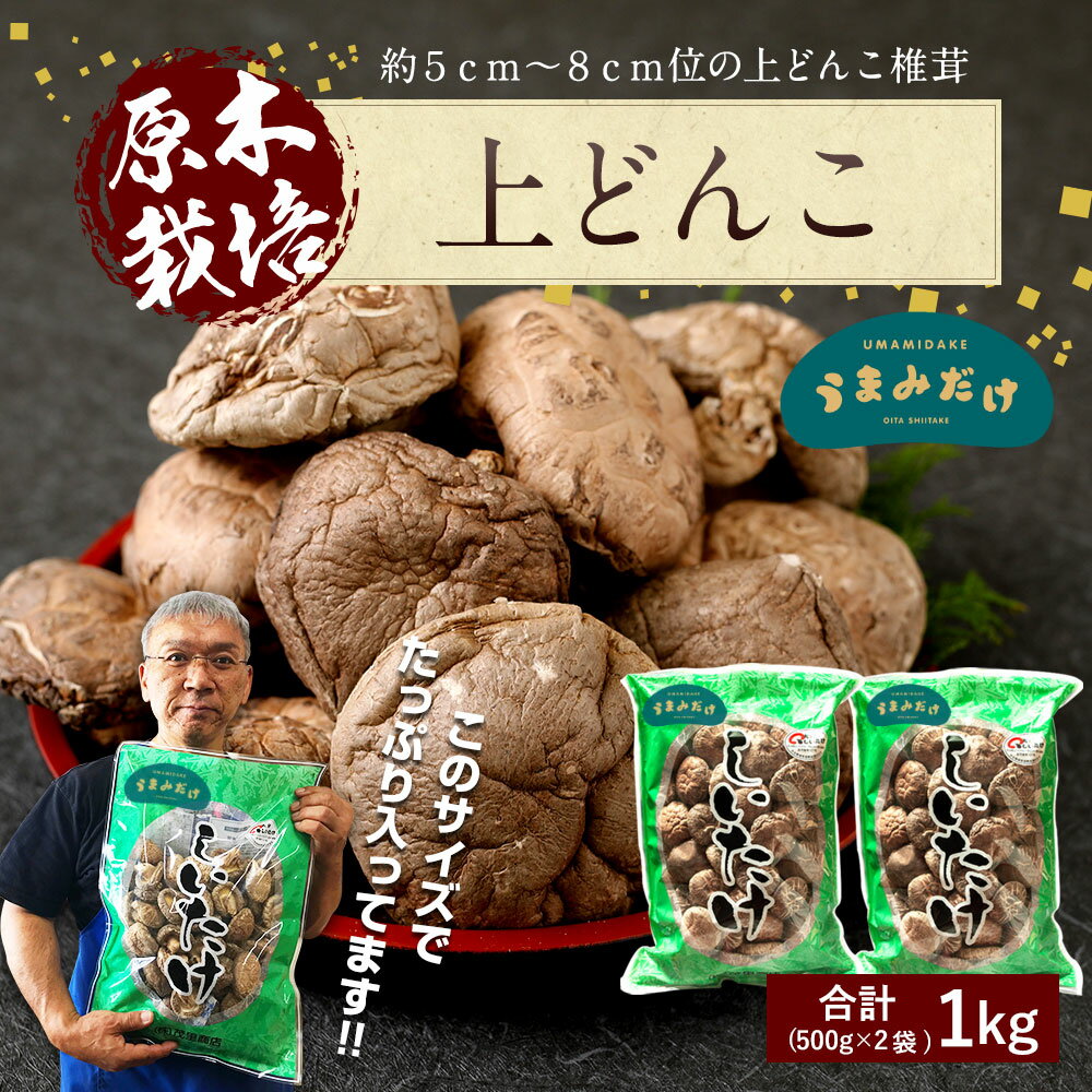 【ふるさと納税】上どんこ 1kg（500g×2袋） 大分県豊後大野市産 うまみだけ 椎茸 どんこ しいたけ 干ししいたけ 九州 原木栽培 常温 送料無料