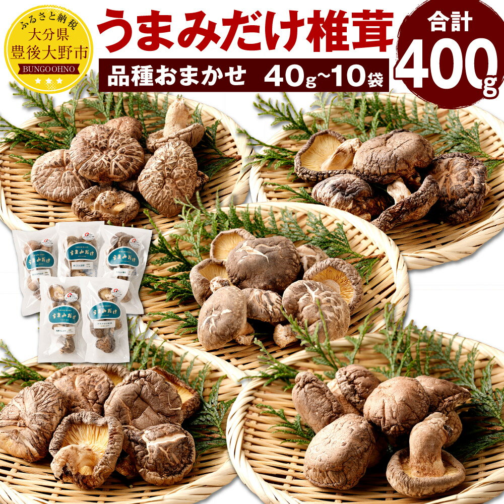 35位! 口コミ数「1件」評価「5」うまみだけ 椎茸 40g×10袋 合計 400g （品種おまかせ） 椎茸 しいたけ 干ししいたけ 乾燥椎茸 大分県産 国産 九州 送料無料