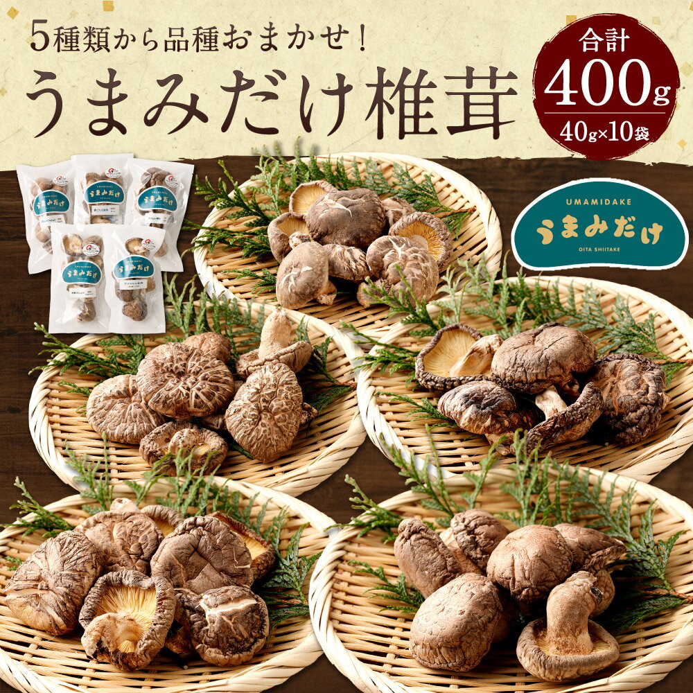 【ふるさと納税】うまみだけ 椎茸 40g×10袋 合計 400g （品種おまかせ） 椎茸 しいたけ 干ししいたけ 乾燥椎茸 大分県産 国産 九州 送料無料