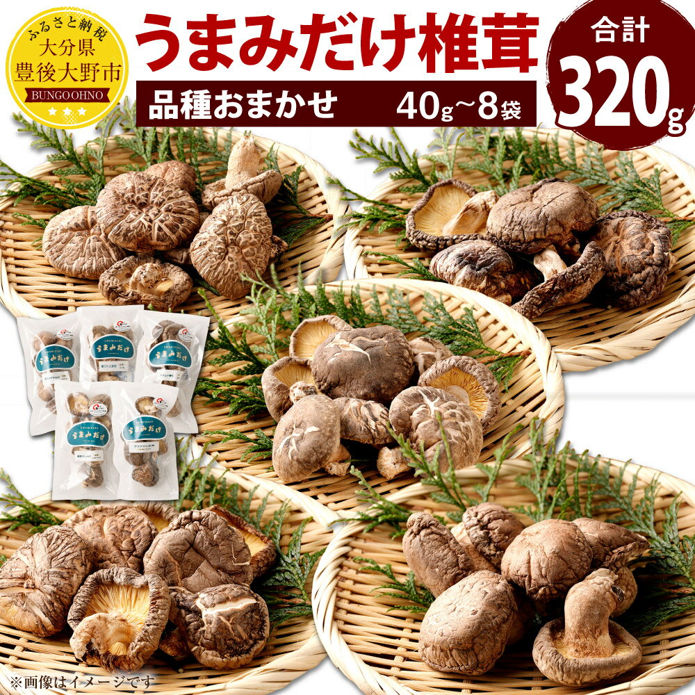 【ふるさと納税】うまみだけ 食べくらべセット 椎茸 合計320g 40g×8袋 品種おまかせ 食べ比べ セット しいたけ 干ししいたけ 乾燥椎茸 大分県産 国産...