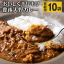 22位! 口コミ数「0件」評価「0」おいしくモリモリ豊後大野カレー 10袋 合計1.8kg(180g×10) 家庭用 原木乾椎茸 スライス椎茸 さつまいも 紅はるか ご当地 国･･･ 