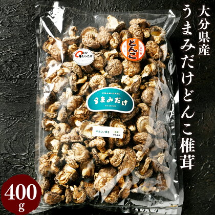 山盛りうまみだけどんこ椎茸 400g しいたけ 煮物 中華料理 鉄板焼 国産 九州 大分県 送料無料