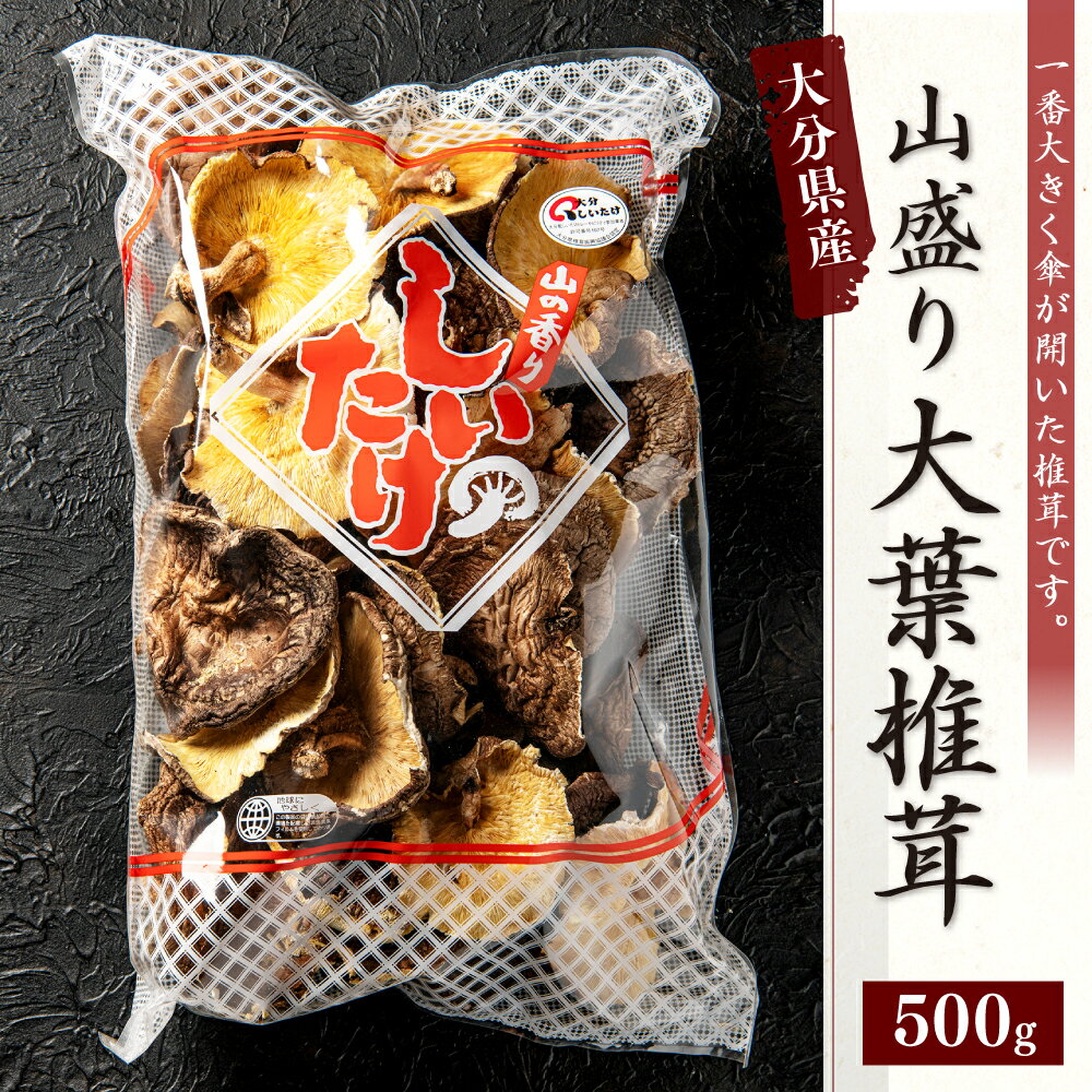 【ふるさと納税】山盛り大葉椎茸 500g 大容量 訳あり 家庭用 しいたけ 乾燥シイタケ 巻き寿司 炊き込みご飯 国産 九州 大分県 送料無料