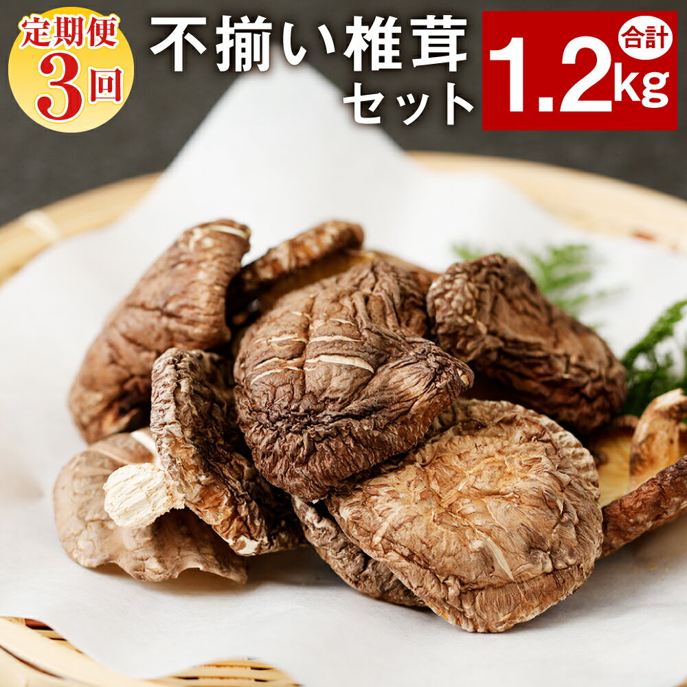 【ふるさと納税】【定期便3ヶ月連続発送】 不揃い椎茸 10袋セット 40g×10袋×3回 合計1.2kg セット 3ヶ月 椎茸 乾燥シイタケ 訳あり 乾椎茸 しいたけ おすそ分け プレゼント 小分け 大分県産 九州産 送料無料