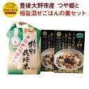 12位! 口コミ数「0件」評価「0」豊後大野市産 つや姫と極旨混ぜごはんの素 セット つや姫 ジオ蔵出し色選米 特別栽培米 精米 2kg 混ぜごはんの素 180g×2個 おおい･･･ 