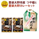 25位! 口コミ数「0件」評価「0」豊後大野市産 つや姫と豊後大野カレー セット つや姫 ジオ蔵出し色選米 特別栽培米 精米 2kg カレー 180g×2個 椎茸 しいたけ さ･･･ 