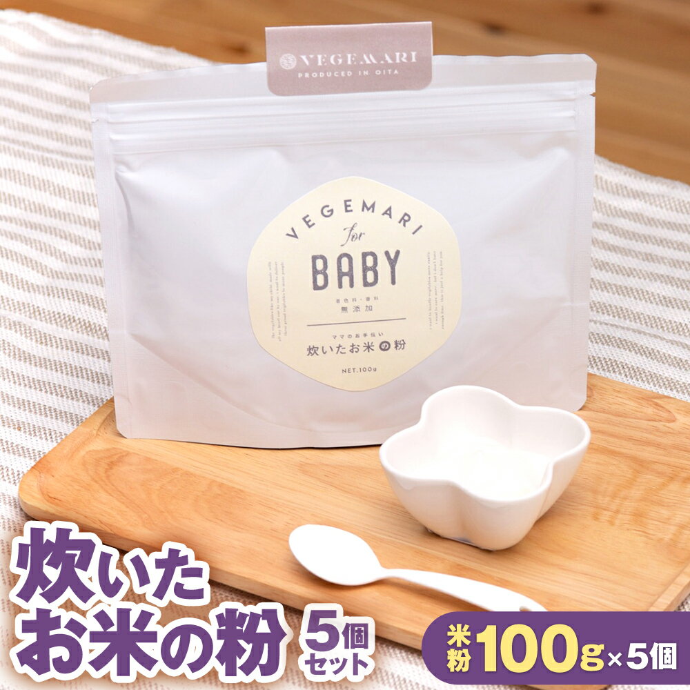 【ふるさと納税】炊いたお米の粉 5個 セット 合計500g 100g 5 うるち米 ヒノヒカリ 米粉 離乳食 簡単 パウダー 粉末 加熱製粉 国産 九州 大分県 送料無料