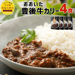 【ふるさと納税】おおいた 豊後牛カリー4食セット 200g×4個 カレー ビーフカレー 豊後牛 おおいた豊後牛 レトルト 九州産 大分県産 送料無料