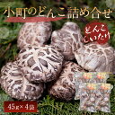 大分県豊後大野市の画像3