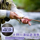 【ふるさと納税】大野川漁協遊漁券 ウナギを除く全魚種 渓流釣り 腕章 1セット 大分県豊後大野市 一級河川 大野川 九州 送料無料 【有効期間:2026年3月3...