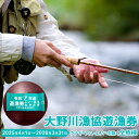 【ふるさと納税】大野川漁協遊漁券 ウナギ・アユ・エノハを除く全魚種 腕章 1セット 渓流釣り 大分県豊後大野市 一級河川 大野川 九州 送料無料 【有効期間:2...
