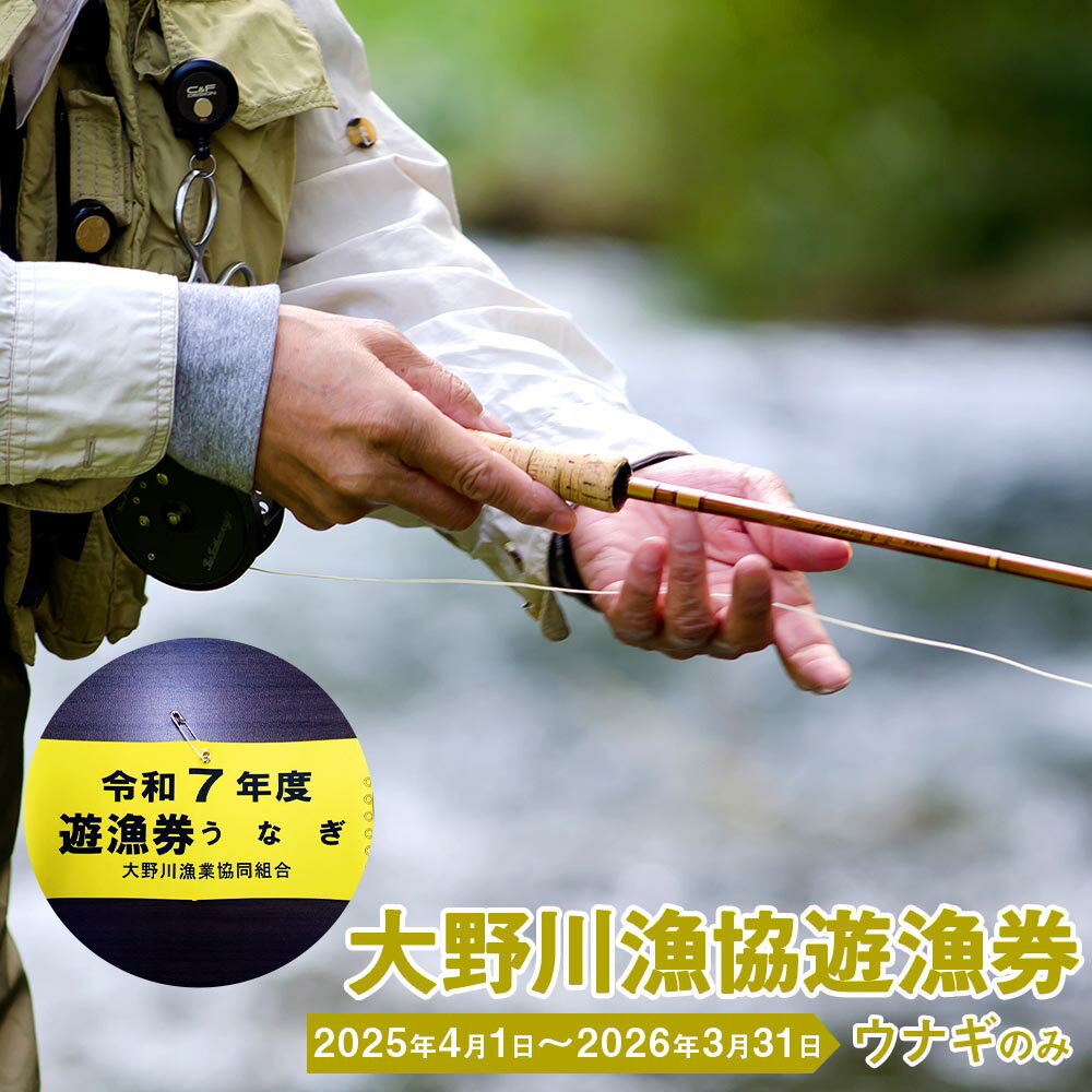 【ふるさと納税】大野川漁協遊漁券 ウナギのみ 腕章 1セット 釣り 大分県豊後大野市 一級河川 大野川 九州 送料無料 【有効期間:2026年3月31日まで】
