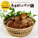 【ふるさと納税】豊後大野市産 原木生しいたけ 1kg 期間限...