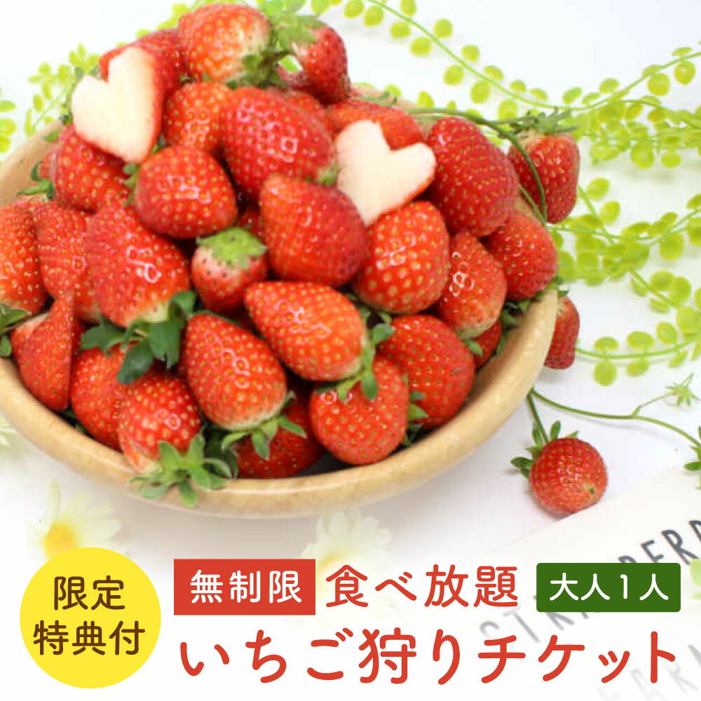 【ふるさと納税】無制限 食べ放題 いちご狩り チケット 大人1名 【限定特典付き】 いちご 苺 イチゴ フルーツ狩り 体験 豊後大野市ふるさと応援寄附金 大分県 豊後大野市 送料無料