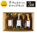 希釈用ドリンク人気ランク12位　口コミ数「1件」評価「5」「【ふるさと納税】ナチュラルシロップセット 3種 各250ml 詰め合わせ 希釈 ジュース ジンジャーシロップ チャイ素 季節の酵素シロップ」