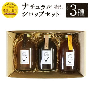 【ふるさと納税】ナチュラルシロップセット 3種 各250ml 詰め合わせ 希釈 ジュース ジンジャーシロップ チャイ素 季節の酵素シロップ