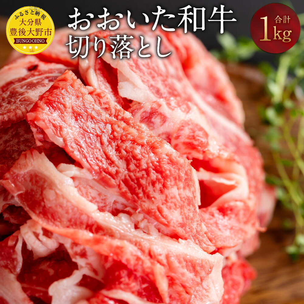 おおいた和牛 切り落とし 計1kg(250g×4P)牛肉 和牛 肉 切落し 小分け パック ブランド牛 おおいた豊後牛 黒毛和牛 国産 九州産 大分県産黒毛和牛 冷凍 大分県 豊後大野市 送料無料