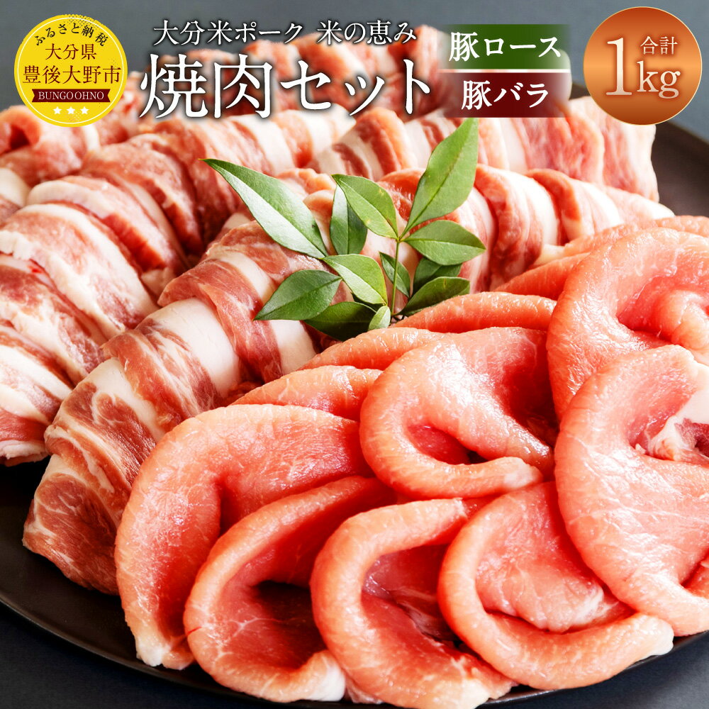 大分県産 豚ロース 豚バラ 焼肉セット 計1kg(各500g)米の恵み 米ポーク ブランド豚 1キロ 焼肉 豚肉 国産 九州産 冷凍 大分県 豊後大野市 送料無料
