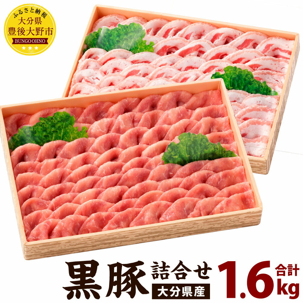 【ふるさと納税】大分県産 黒豚 詰合せ モモ バラ 合計1.6kg 各800g 2種 冷凍 豚肉 お肉 豚 詰め合わせ セット 冷凍 国産 九州 送料無料