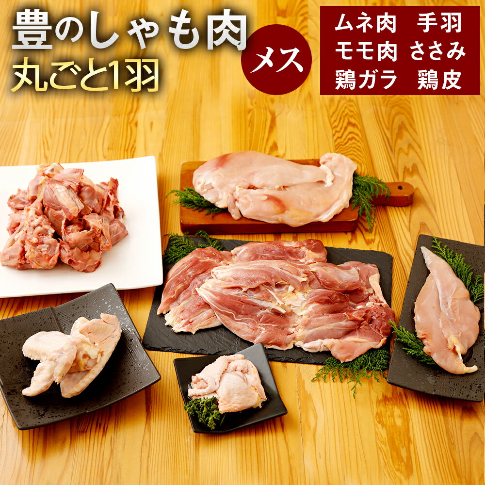 【ふるさと納税】豊のしゃも肉 丸ごと1羽 メスのみ ムネ肉・モモ肉各2枚 手羽2本 ささみ2本 鶏皮 鶏ガラ 軍鶏 軍鶏肉 軍鶏鍋 国産 大分県産 地鶏 冷蔵 送料無料