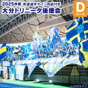 【ふるさと納税】2025年度大分トリニータ後援会 Dコース 会員証 携帯ショルダーバッグ サイン色紙 引換券 割引券 抽選応募券 オフィシャルイヤーブック サッ...