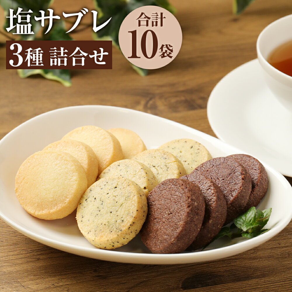 塩サブレ詰め合わせ バター ショコラ アールグレイ 計10袋 3種 焼き菓子 詰合せ お菓子 スイーツ デザート 北海道バター チョコレート 砂糖 ギフト 贈り物 贈答 御歳暮 御中元 九州産 大分県 豊後大野市 送料無料