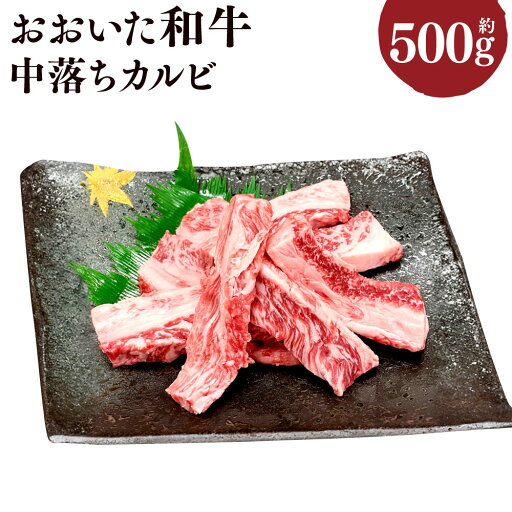 【ふるさと納税】おおいた和牛 中落ちカルビ 約500g 牛肉 お肉 肉 和牛バラ肉 希少部位 中落ち 国産 4等級以上 冷凍 豊後大野市 送料無料 【ふるさと納税】おおいた和牛 中落ちカルビ 約500g 牛肉 お肉 肉 和牛バラ肉 希少部位 中落ち 国産 4等級以上 冷凍 豊後大野市 送料無料
