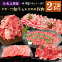 【ふるさと納税】【6ヶ月定期便】毎月違うセットが届く!おおいた和牛&大分県産豚肉セット 合計約2.9kg 和牛 牛肉 豚肉 月替わり 食べ比べ 6回 定期便 料...