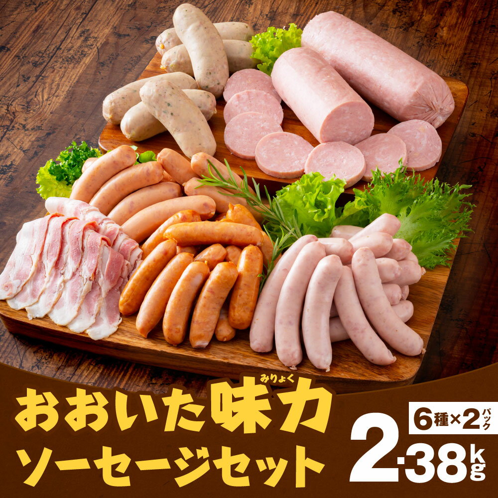 【ふるさと納税】おおいた味力ソーセージ セット 2.38kg 2380g 6種×2パック 12パック 詰め合わせ 詰合せ ウインナー フランクフルト ベーコン ボローニャ 粗挽き 加工品 加工肉 冷凍 九州産 送料無料