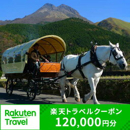 【ふるさと納税】大分県由布市（湯布院、由布院、湯平、塚原高原）の対象施設で使える楽天トラベルクーポン 寄付額400,000円